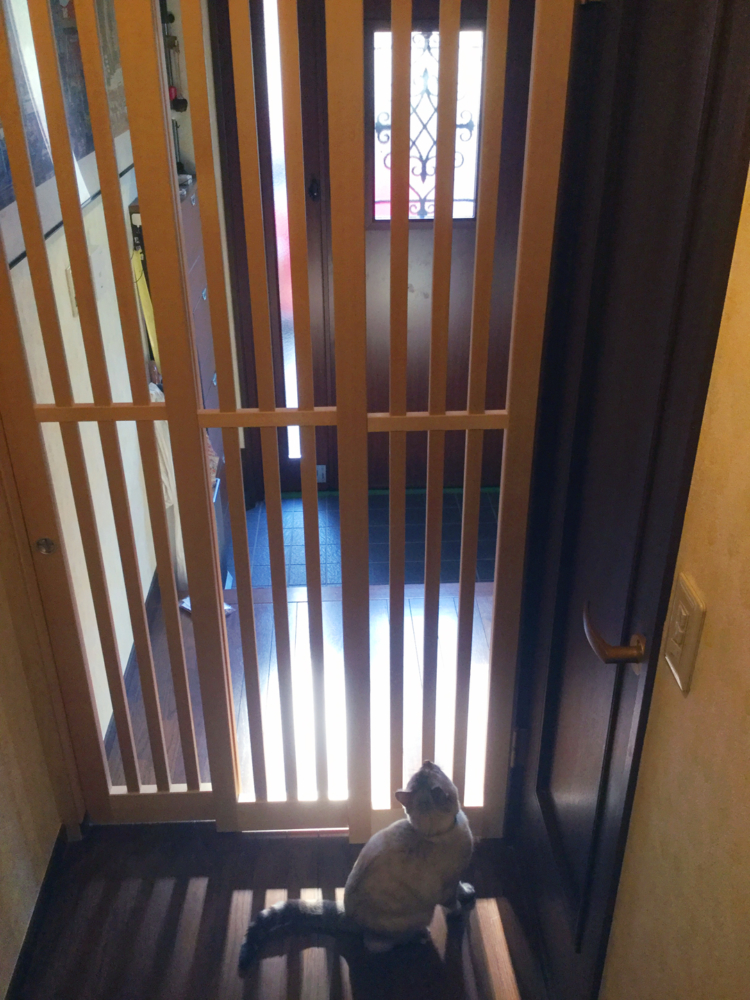 猫脱走防止扉
