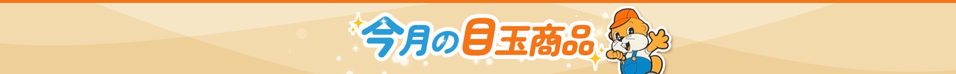 今月の目玉商品