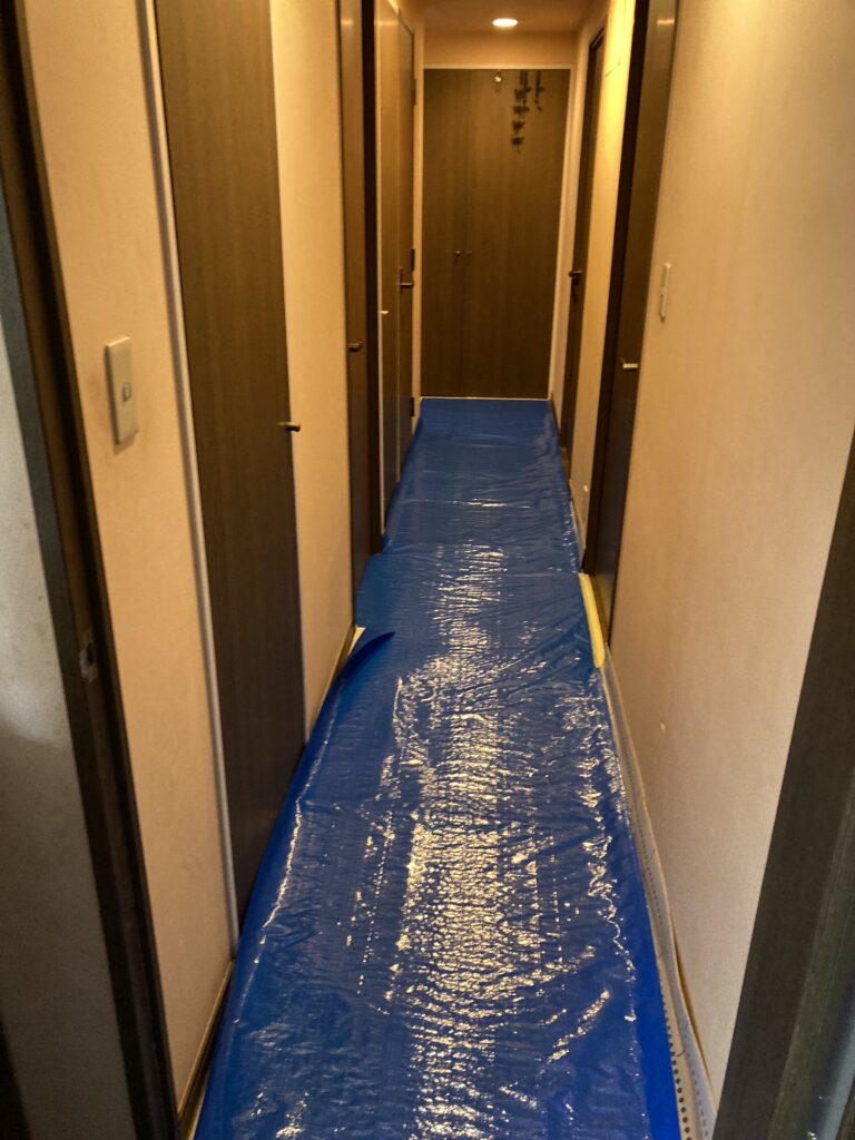 廊下養生①