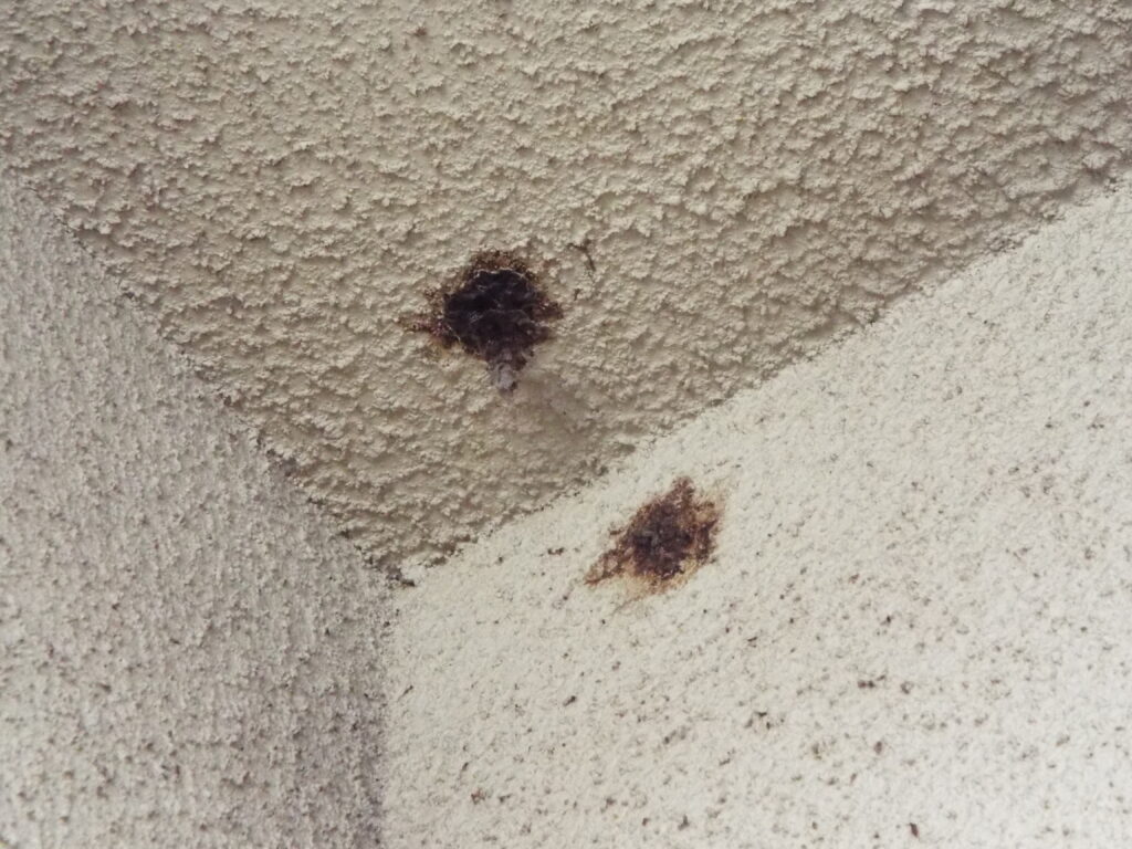 細かい付帯部にも劣化や汚れが見られました。