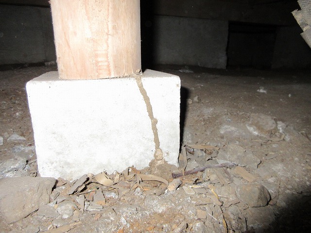 床下の束石にも蟻道が。