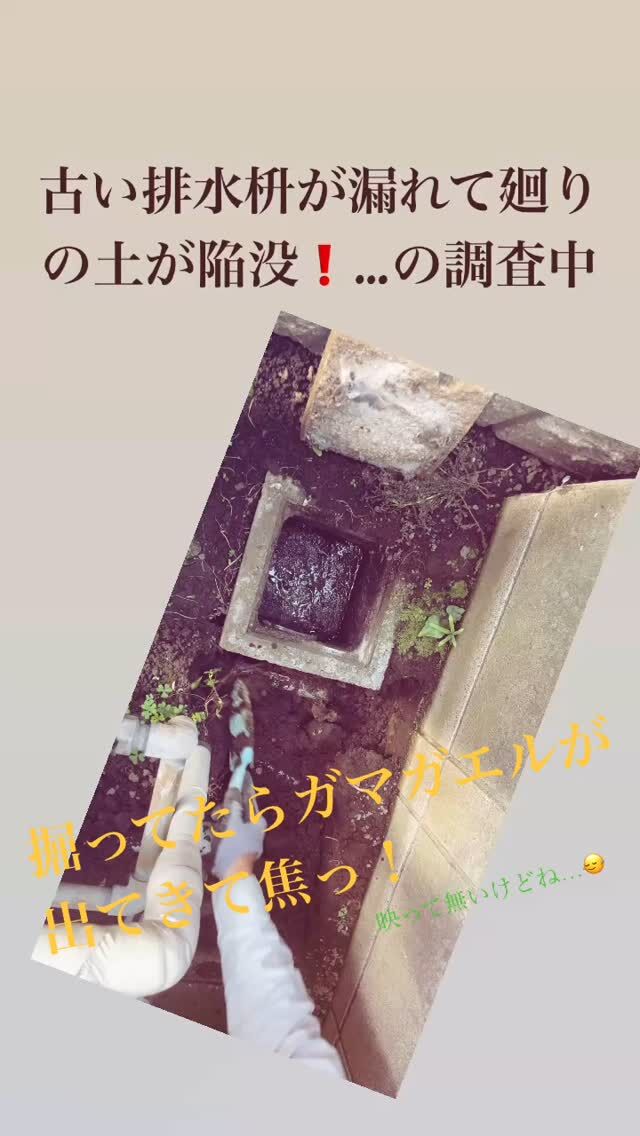 #西東京市　#練馬　#杉並　#リフォーム　#水廻りリフォーム　#カエルさん　#映ってないの残念すぎる